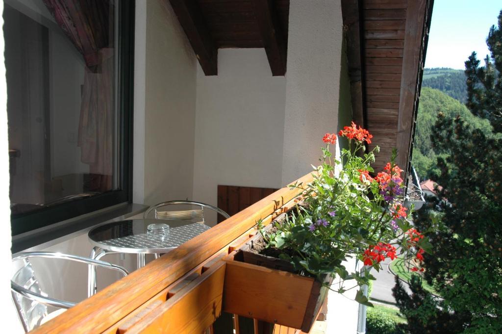 Pension Haus Diefenbach Heimbach Habitación foto